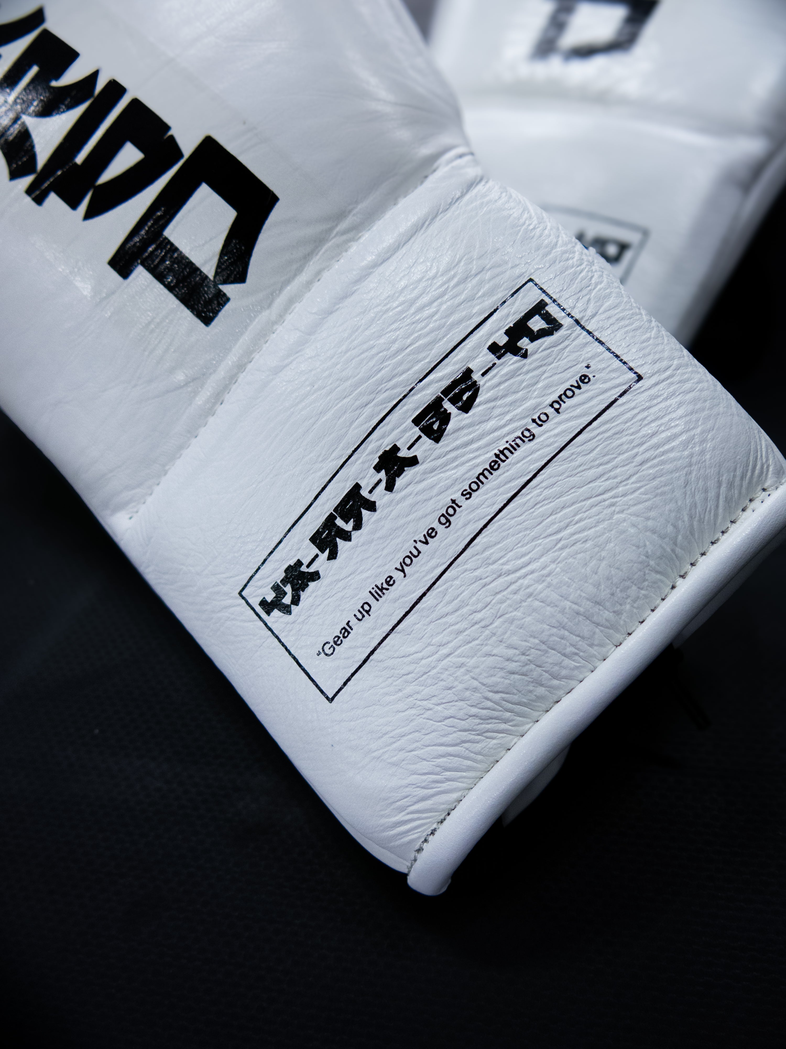 SHIRO BOXING GLOVES